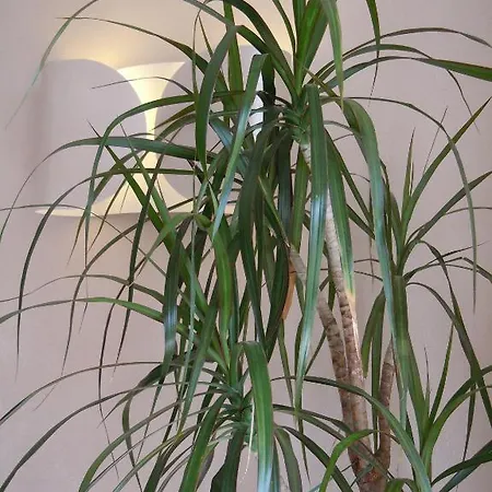 Bagner ホテル シルミオーネ